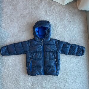 Patagonia Baby Toddler Navy Hi-Loft Puffer Down Sweater Hoody Jacket 2T